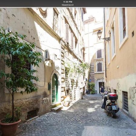 Apartmán Navona Sunshine Big Terrace Řím Exteriér fotografie