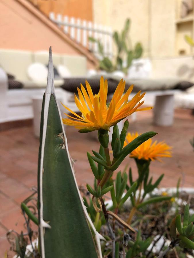 Apartmán Navona Sunshine Big Terrace Řím Exteriér fotografie